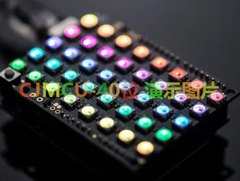 40-bitine WS2812B 5050 RGB LED sisseehitatud Värviline Juhi Laterna Arengu Pardal Otse lisada R3